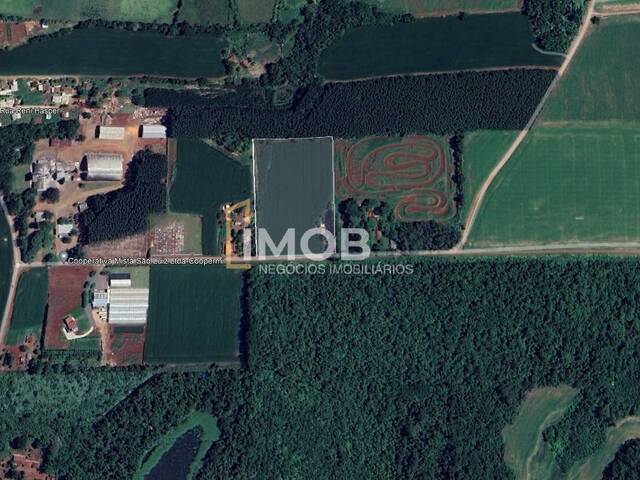 #12 - Chácara para Venda em Santa Rosa - RS - 2