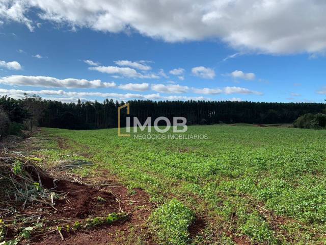 Área Rural para Venda em Santa Rosa - 5