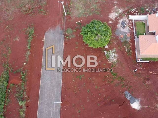 #44 - Terreno para Venda em Santa Rosa - RS - 3