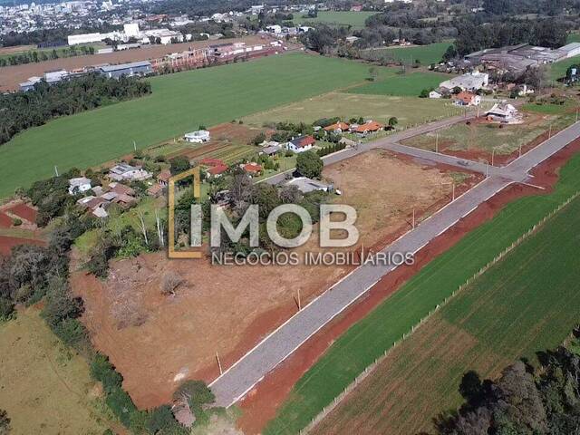 #63 - Terreno para Venda em Santa Rosa - RS - 3