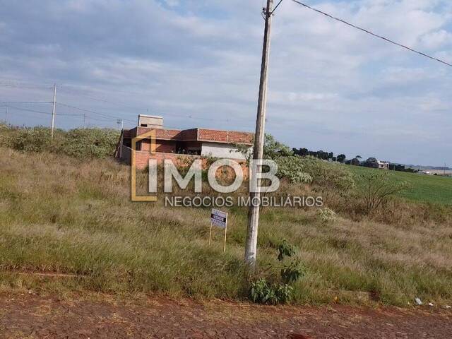 #67 - Área para Venda em Santa Rosa - RS - 1