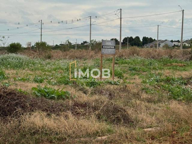 Área para Venda em Santa Rosa - 4