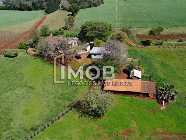 #101 - Chácara para Venda em Santa Rosa - RS - 1