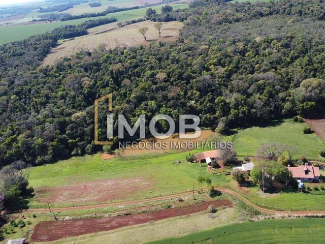 #101 - Chácara para Venda em Santa Rosa - RS - 2