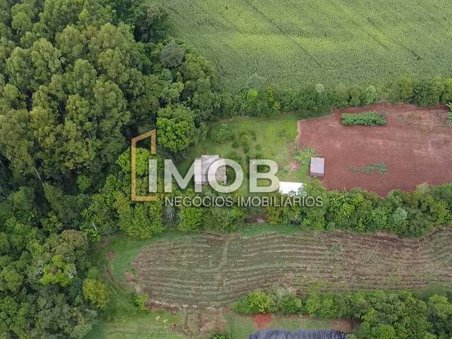 #104 - Chácara para Venda em Santa Rosa - RS - 2