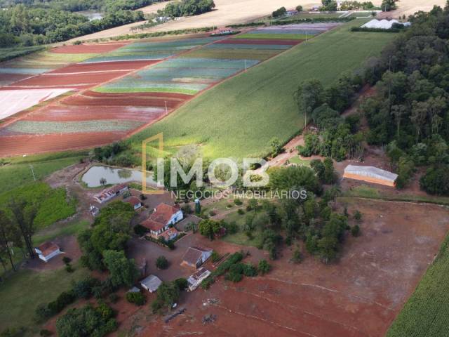 Chácara para Venda em Santa Rosa - 4