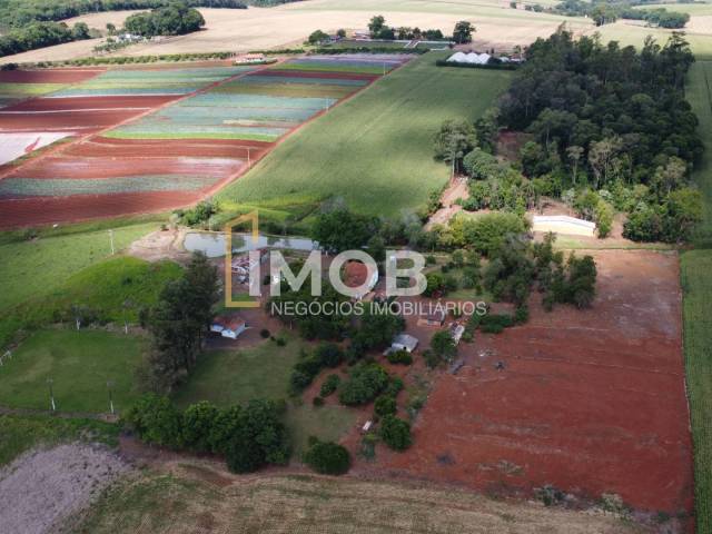 Chácara para Venda em Santa Rosa - 5