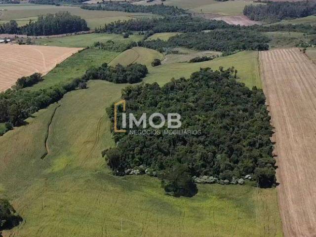 Venda em Interior - Santa Rosa