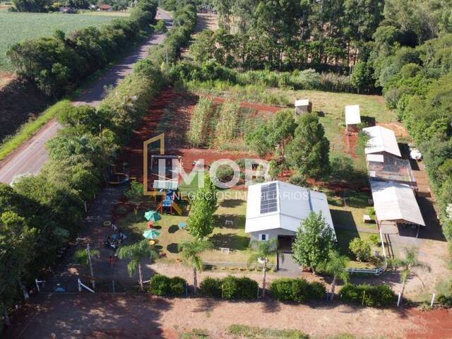 Venda em Ipê - Santa Rosa