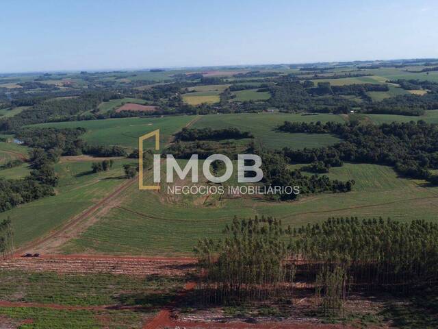 #178 - Área Rural para Venda em Santa Rosa - RS