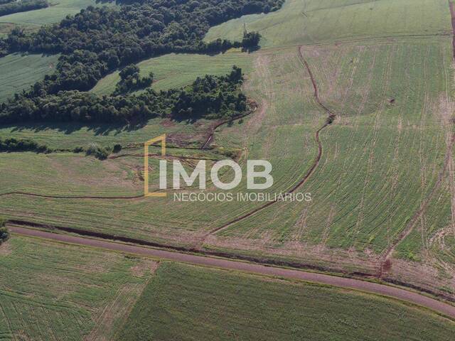 Área Rural para Venda em Santa Rosa - 5