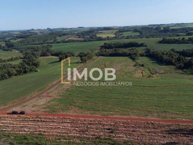 #178 - Área Rural para Venda em Santa Rosa - RS