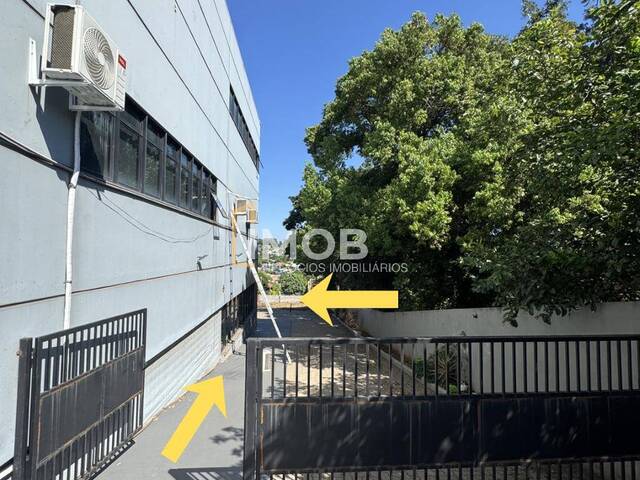 #186 - Sala para Locação em Santa Rosa - RS