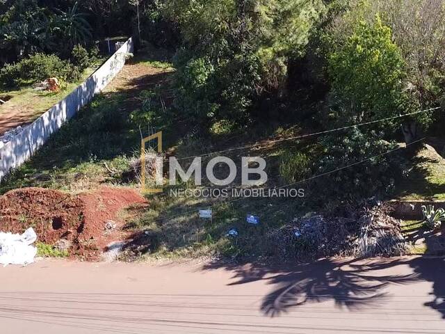 Venda em Sulina - Santa Rosa